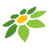 DLS19 MOD APK